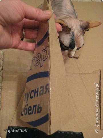 ������ �������� ���� ������-����� ����� ��� ���������� ��������� ����-��������� ������ ���� ������ �������� �������� �������� ��������� ���� 4