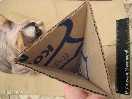 ������ �������� ���� ������-����� ����� ��� ���������� ��������� ����-��������� ������ ���� ������ �������� �������� �������� ��������� ���� 6