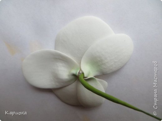 ������-����� ���������� ������������� ������������� ��������������� ������-����� ������� ������� ������ �������� �������� ��� ���� 12