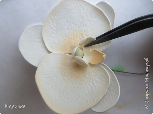 ������-����� ���������� ������������� ������������� ��������������� ������-����� ������� ������� ������ �������� �������� ��� ���� 13