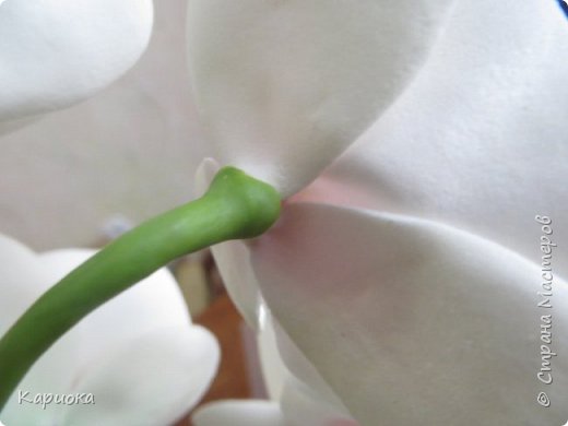 ������-����� ���������� ������������� ������������� ��������������� ������-����� ������� ������� ������ �������� �������� ��� ���� 14