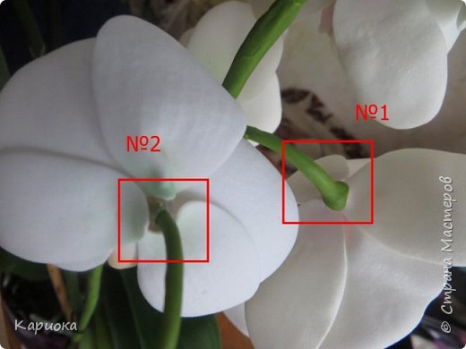 ������-����� ���������� ������������� ������������� ��������������� ������-����� ������� ������� ������ �������� �������� ��� ���� 15