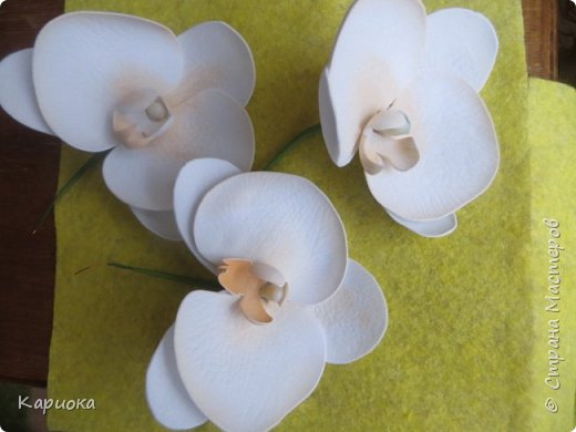 ������-����� ���������� ������������� ������������� ��������������� ������-����� ������� ������� ������ �������� �������� ��� ���� 18