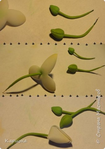 ������-����� ���������� ������������� ������������� ��������������� ������-����� ������� ������� ������ �������� �������� ��� ���� 19