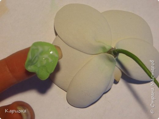 ������-����� ���������� ������������� ������������� ��������������� ������-����� ������� ������� ������ �������� �������� ��� ���� 16