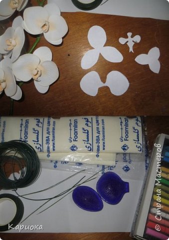 ������-����� ���������� ������������� ������������� ��������������� ������-����� ������� ������� ������ �������� �������� ��� ���� 3