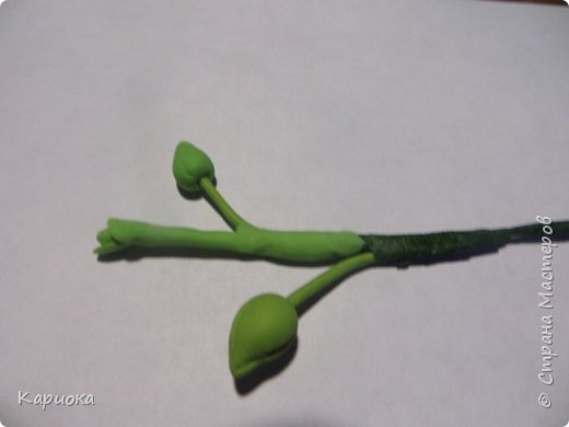 ������-����� ���������� ������������� ������������� ��������������� ������-����� ������� ������� ������ �������� �������� ��� ���� 25