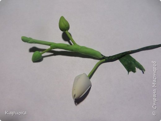 ������-����� ���������� ������������� ������������� ��������������� ������-����� ������� ������� ������ �������� �������� ��� ���� 28