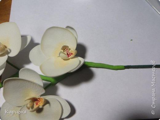 ������-����� ���������� ������������� ������������� ��������������� ������-����� ������� ������� ������ �������� �������� ��� ���� 30