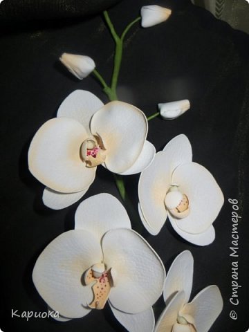 ������-����� ���������� ������������� ������������� ��������������� ������-����� ������� ������� ������ �������� �������� ��� ���� 31