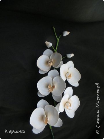 ������-����� ���������� ������������� ������������� ��������������� ������-����� ������� ������� ������ �������� �������� ��� ���� 32