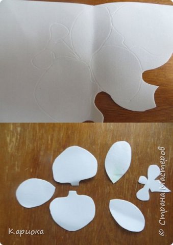 ������-����� ���������� ������������� ������������� ��������������� ������-����� ������� ������� ������ �������� �������� ��� ���� 5