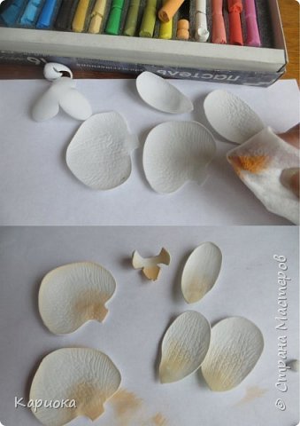 ������-����� ���������� ������������� ������������� ��������������� ������-����� ������� ������� ������ �������� �������� ��� ���� 7