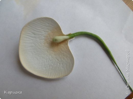 ������-����� ���������� ������������� ������������� ��������������� ������-����� ������� ������� ������ �������� �������� ��� ���� 8