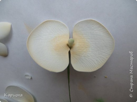 ������-����� ���������� ������������� ������������� ��������������� ������-����� ������� ������� ������ �������� �������� ��� ���� 9