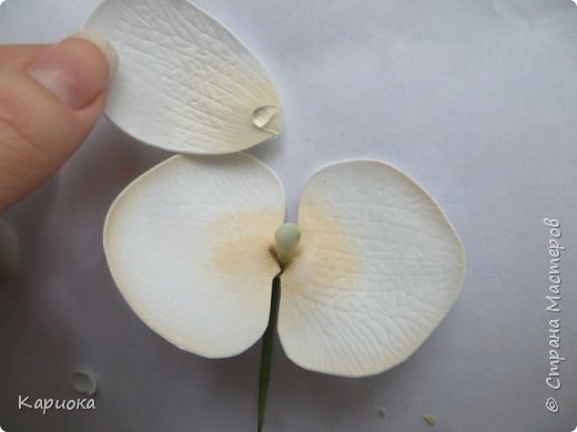 ������-����� ���������� ������������� ������������� ��������������� ������-����� ������� ������� ������ �������� �������� ��� ���� 10