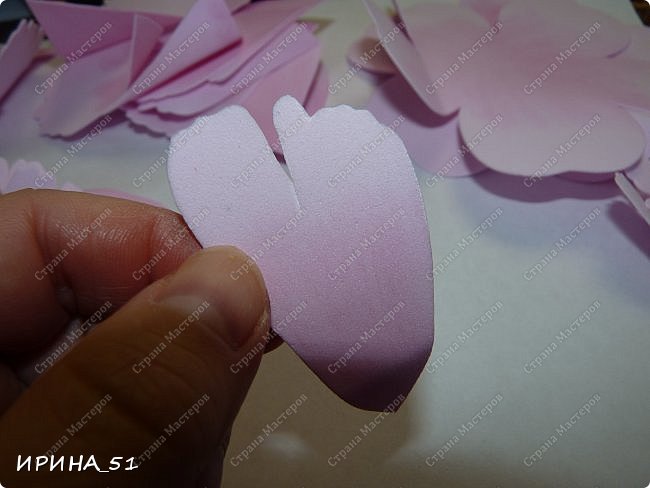 ������-����� ���������� ������������� ������������� ��������������� �� ���� �� ���������  �������� ��� ���� 17