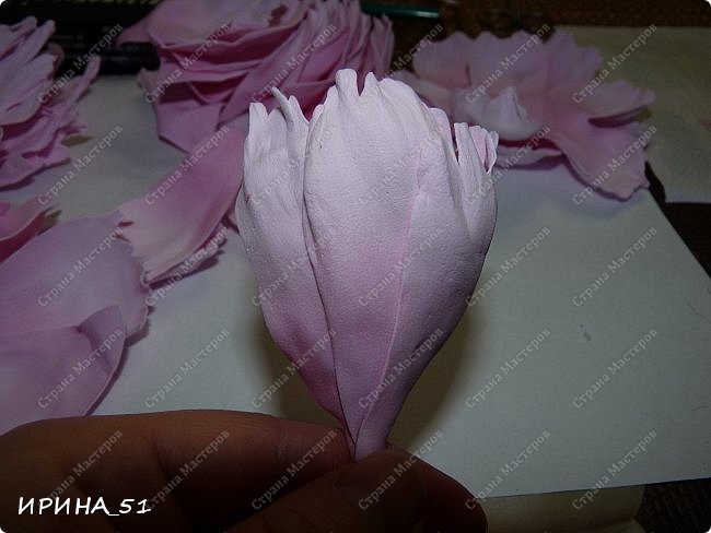 ������-����� ���������� ������������� ������������� ��������������� �� ���� �� ���������  �������� ��� ���� 58