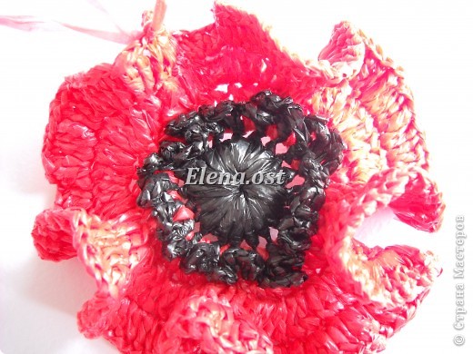 �������� ������-����� ������� ������� ������� ����� �� �������������� ������� ������� ����  �� ���� �������� �������� ���������� ����� ���� 29