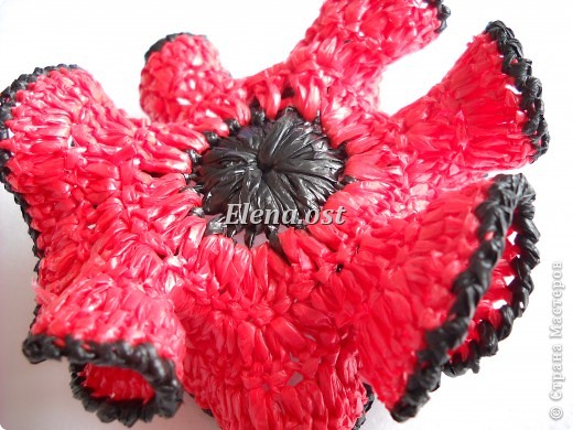 �������� ������-����� ������� ������� ������� ����� �� �������������� ������� ������� ����  �� ���� �������� �������� ���������� ����� ���� 34