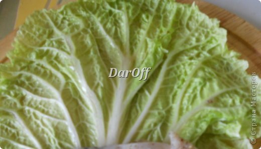 ������-����� �����-���� ��������� ���� - �� ��������� �������� ���� 1