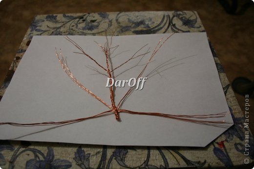 ������-����� �����-���� ��������� ���� - �� ��������� �������� ���� 5