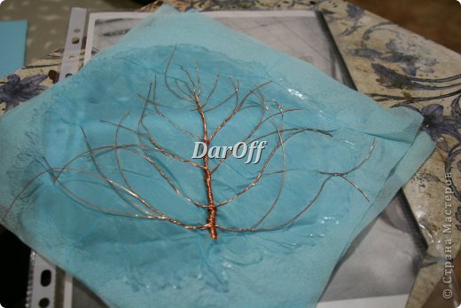 ������-����� �����-���� ��������� ���� - �� ��������� �������� ���� 12