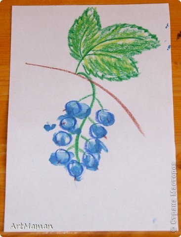 Черная смородина рисунок для детей