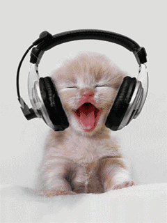 ♥♥♥КОШЕЧКА♥♥♥ ♥♥♥КОШЕЧКА♥♥♥