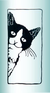 jinata jinata