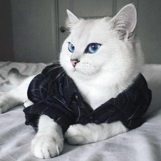 Катя♥