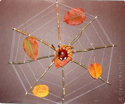 Паутина на огороде своими руками - Поделки