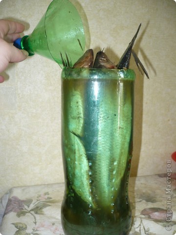 как засолить селедку в бутылке. Смотреть фото как засолить селедку в бутылке. Смотреть картинку как засолить селедку в бутылке. Картинка про как засолить селедку в бутылке. Фото как засолить селедку в бутылке как засолить селедку в бутылке. Смотреть фото как засолить селедку в бутылке. Смотреть картинку как засолить селедку в бутылке. Картинка про как засолить селедку в бутылке. Фото как засолить селедку в бутылке