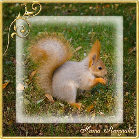 Оформленные фотографии смотрятся более привлекательными и законченными. И я решила показать, как сделать несложную рамочку в программе фотошоп. Я работаю в Photoshop CS5, но все перечисленные ниже операции доступны и в более низких версиях программы. фото 1