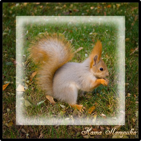 Оформленные фотографии смотрятся более привлекательными и законченными. И я решила показать, как сделать несложную рамочку в программе фотошоп. Я работаю в Photoshop CS5, но все перечисленные ниже операции доступны и в более низких версиях программы. фото 13