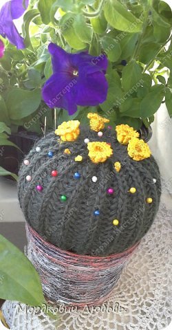 Как связать кактус спицами. Смотреть фото Как связать кактус спицами. Смотреть картинку Как связать кактус спицами. Картинка про Как связать кактус спицами. Фото Как связать кактус спицами Как связать кактус спицами. Смотреть фото Как связать кактус спицами. Смотреть картинку Как связать кактус спицами. Картинка про Как связать кактус спицами. Фото Как связать кактус спицами