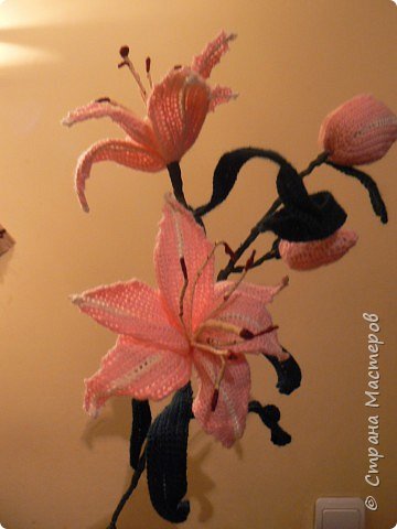 Программа с помощью которой я объединяю фотографии называется "PAINT", она входит в стандартный пакет "Windows". фото 1