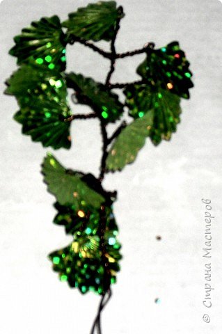 Программа с помощью которой я объединяю фотографии называется "PAINT", она входит в стандартный пакет "Windows". фото 6