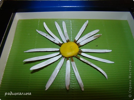 что можно сделать со стрекозой. Смотреть фото что можно сделать со стрекозой. Смотреть картинку что можно сделать со стрекозой. Картинка про что можно сделать со стрекозой. Фото что можно сделать со стрекозой что можно сделать со стрекозой. Смотреть фото что можно сделать со стрекозой. Смотреть картинку что можно сделать со стрекозой. Картинка про что можно сделать со стрекозой. Фото что можно сделать со стрекозой