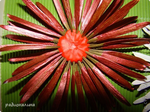 что можно сделать со стрекозой. Смотреть фото что можно сделать со стрекозой. Смотреть картинку что можно сделать со стрекозой. Картинка про что можно сделать со стрекозой. Фото что можно сделать со стрекозой что можно сделать со стрекозой. Смотреть фото что можно сделать со стрекозой. Смотреть картинку что можно сделать со стрекозой. Картинка про что можно сделать со стрекозой. Фото что можно сделать со стрекозой