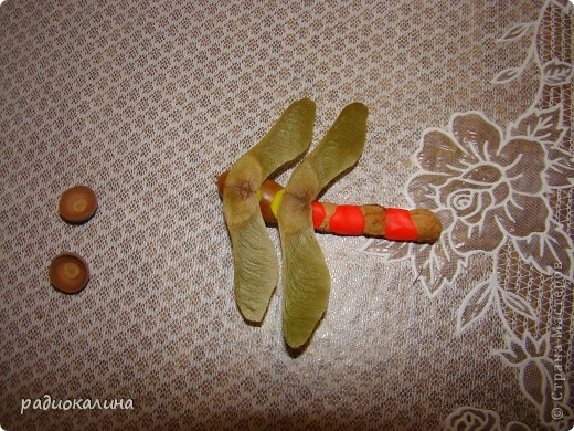 что можно сделать со стрекозой. Смотреть фото что можно сделать со стрекозой. Смотреть картинку что можно сделать со стрекозой. Картинка про что можно сделать со стрекозой. Фото что можно сделать со стрекозой что можно сделать со стрекозой. Смотреть фото что можно сделать со стрекозой. Смотреть картинку что можно сделать со стрекозой. Картинка про что можно сделать со стрекозой. Фото что можно сделать со стрекозой