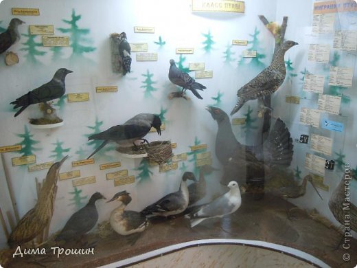 Путешествие в Белозерск. (фото 38)