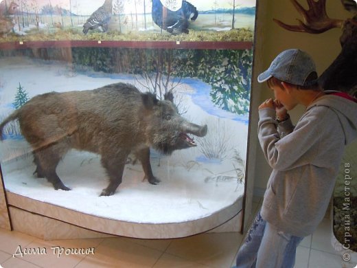 Путешествие в Белозерск. (фото 39)