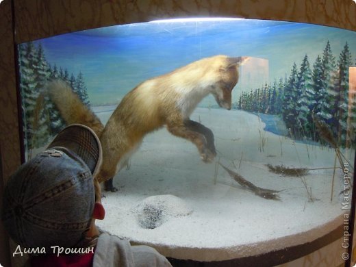 Путешествие в Белозерск. (фото 40)