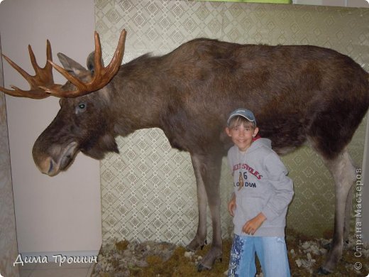 Путешествие в Белозерск. (фото 42)