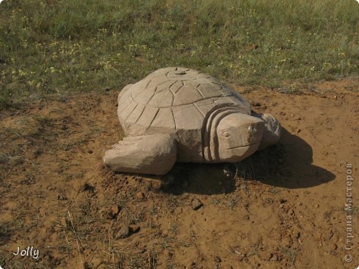 Идем дальше. Добродушная черепаха. (фото 13)