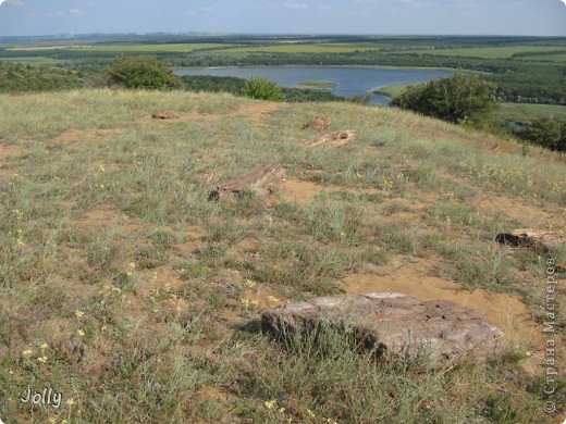 Окаменевшие деревья в большом количестве. (фото 14)