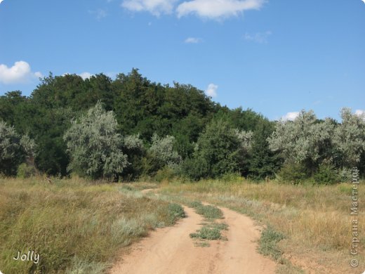 Дорога внизу. (фото 18)