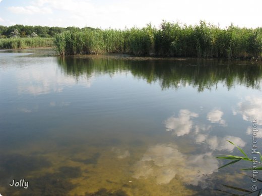 Собственно озеро. Вода мелкая, желтоватая и чистая. (фото 20)