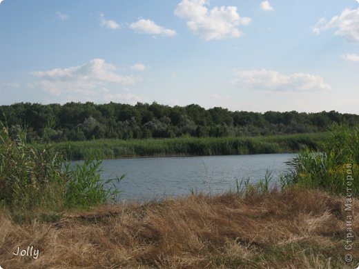 Вдоль берега в местах, где стекает в озеро вода после дождей трава ложится и сбивается в настоящий матрас из сена размером с полянку. Можно посидеть и поваляться. (фото 22)